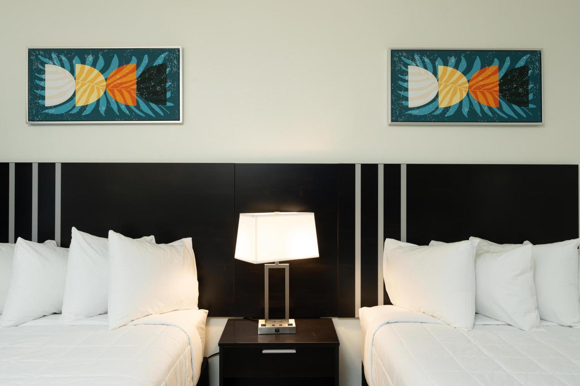 Oasis Bay Suites, Tampa, Busch Gardens, Usf Dış mekan fotoğraf