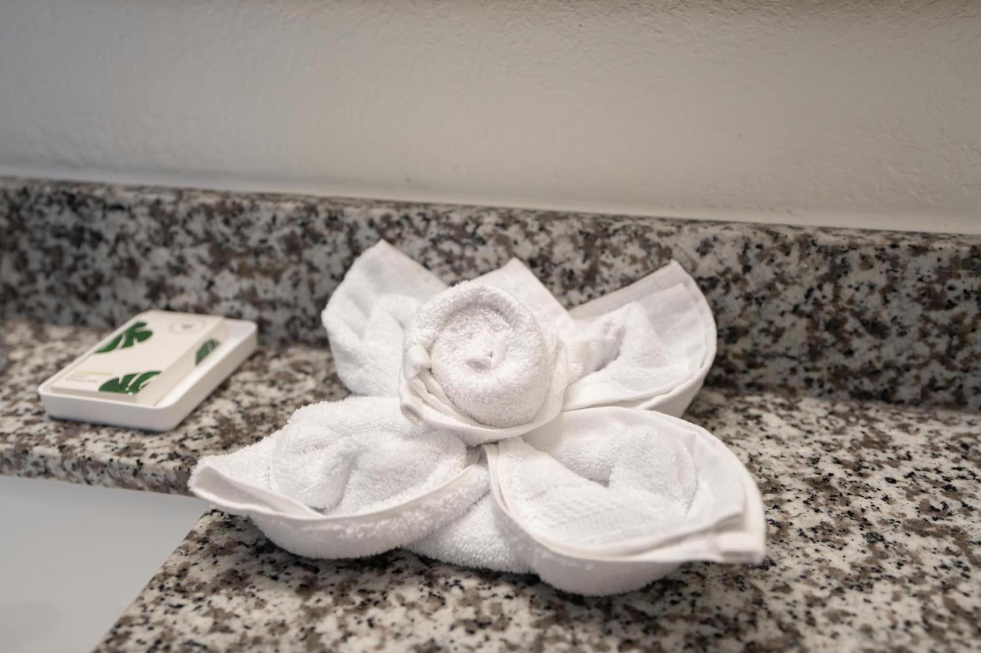 Oasis Bay Suites, Tampa, Busch Gardens, Usf Dış mekan fotoğraf