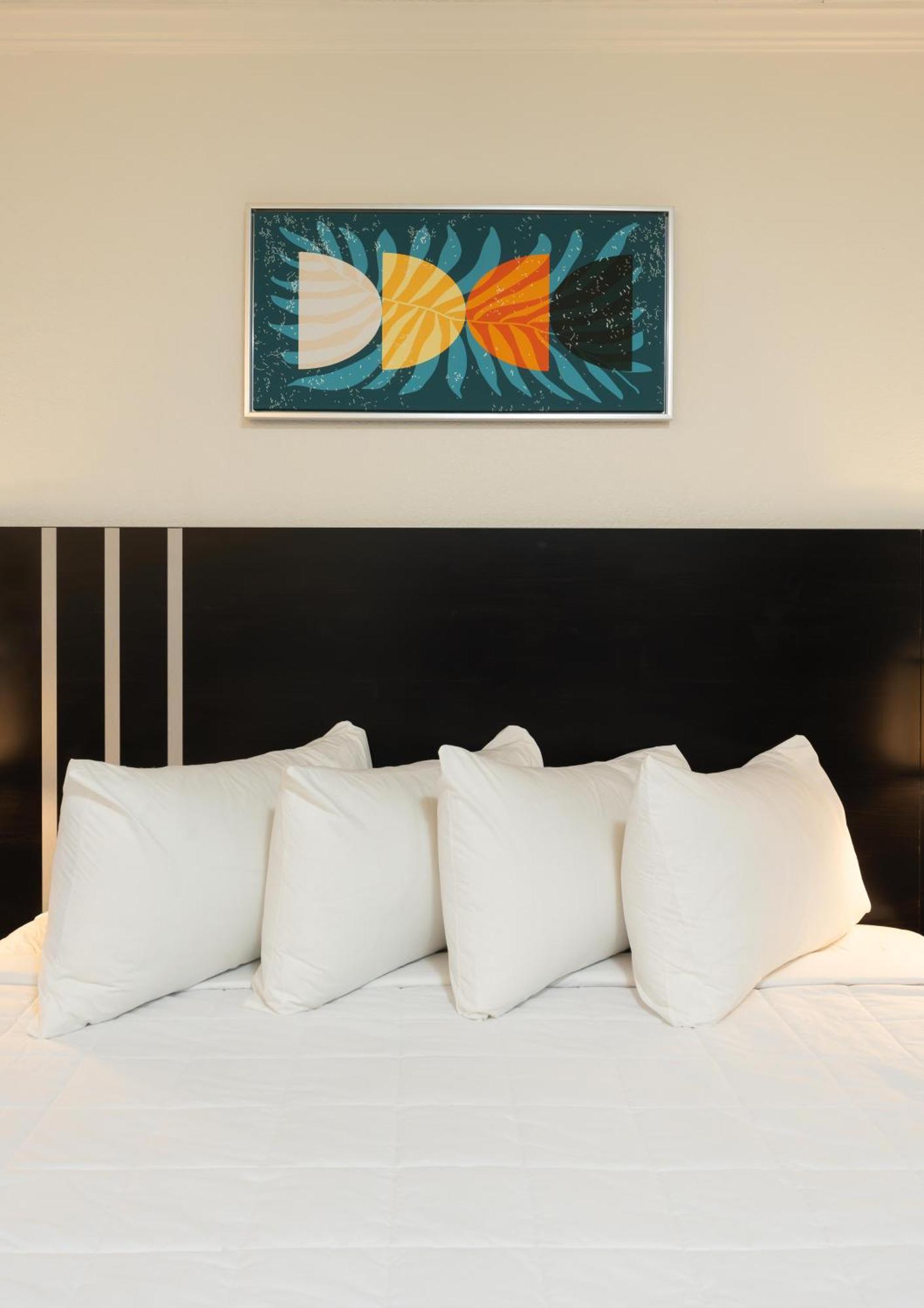 Oasis Bay Suites, Tampa, Busch Gardens, Usf Dış mekan fotoğraf