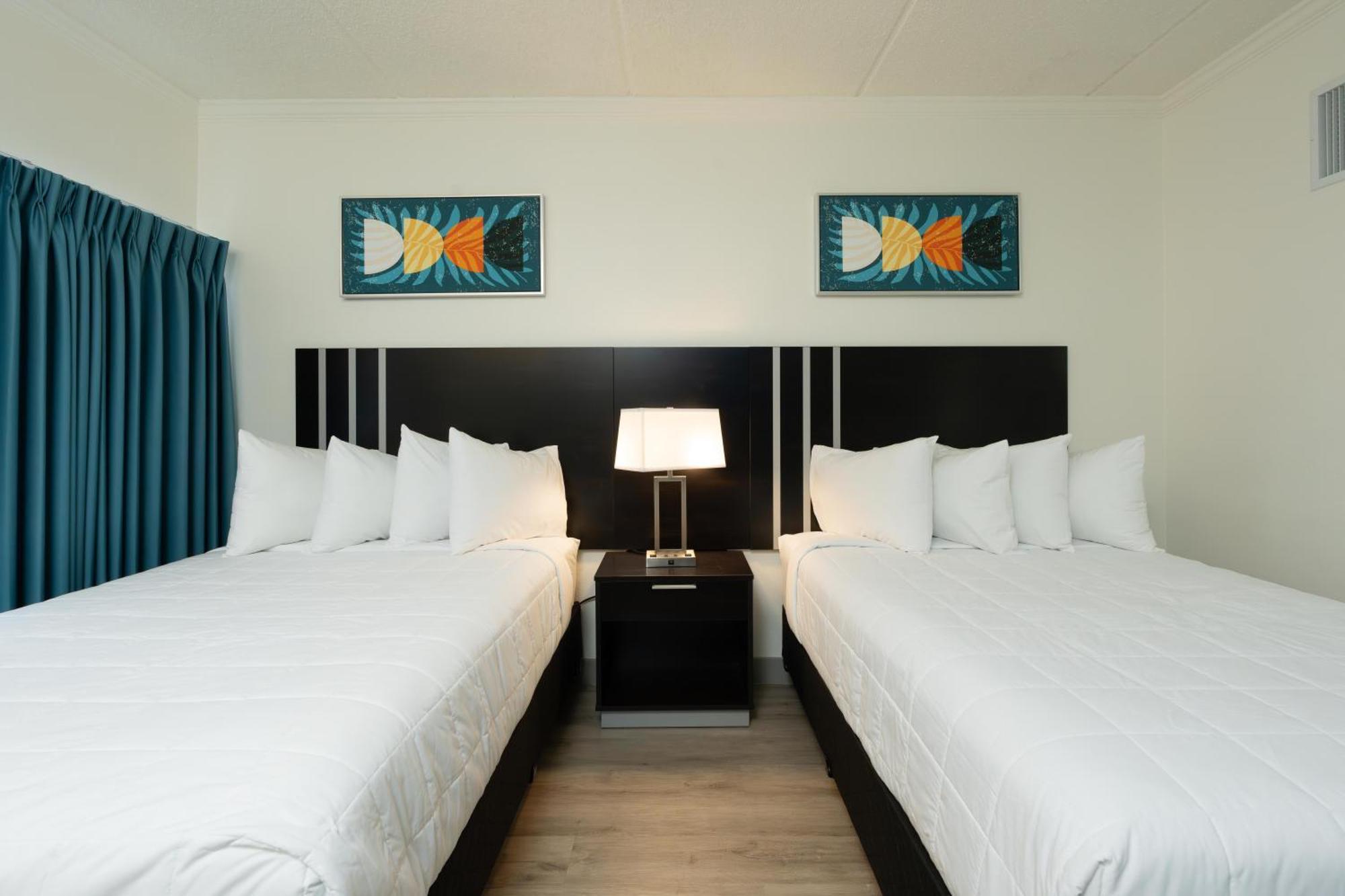 Oasis Bay Suites, Tampa, Busch Gardens, Usf Dış mekan fotoğraf