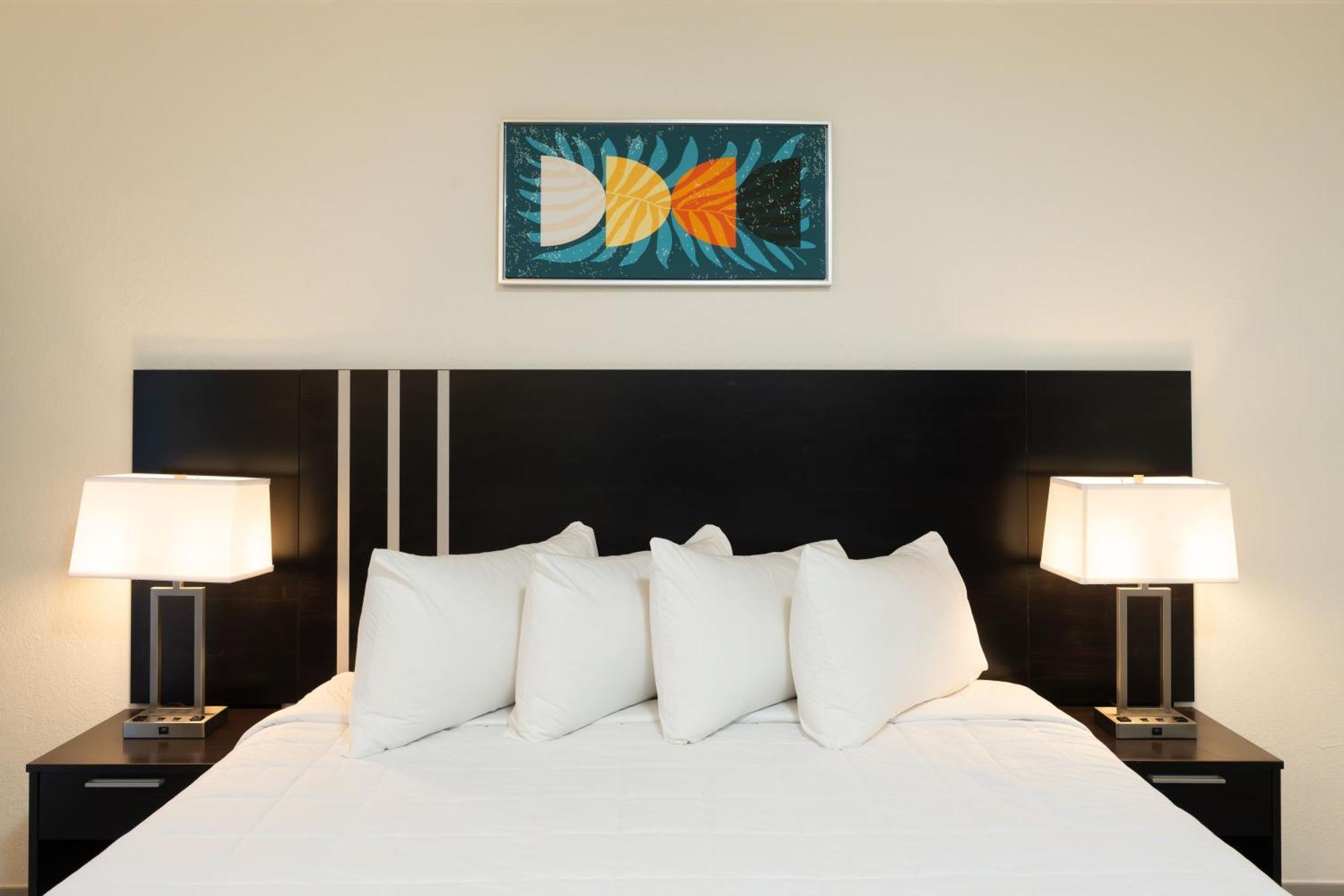Oasis Bay Suites, Tampa, Busch Gardens, Usf Dış mekan fotoğraf