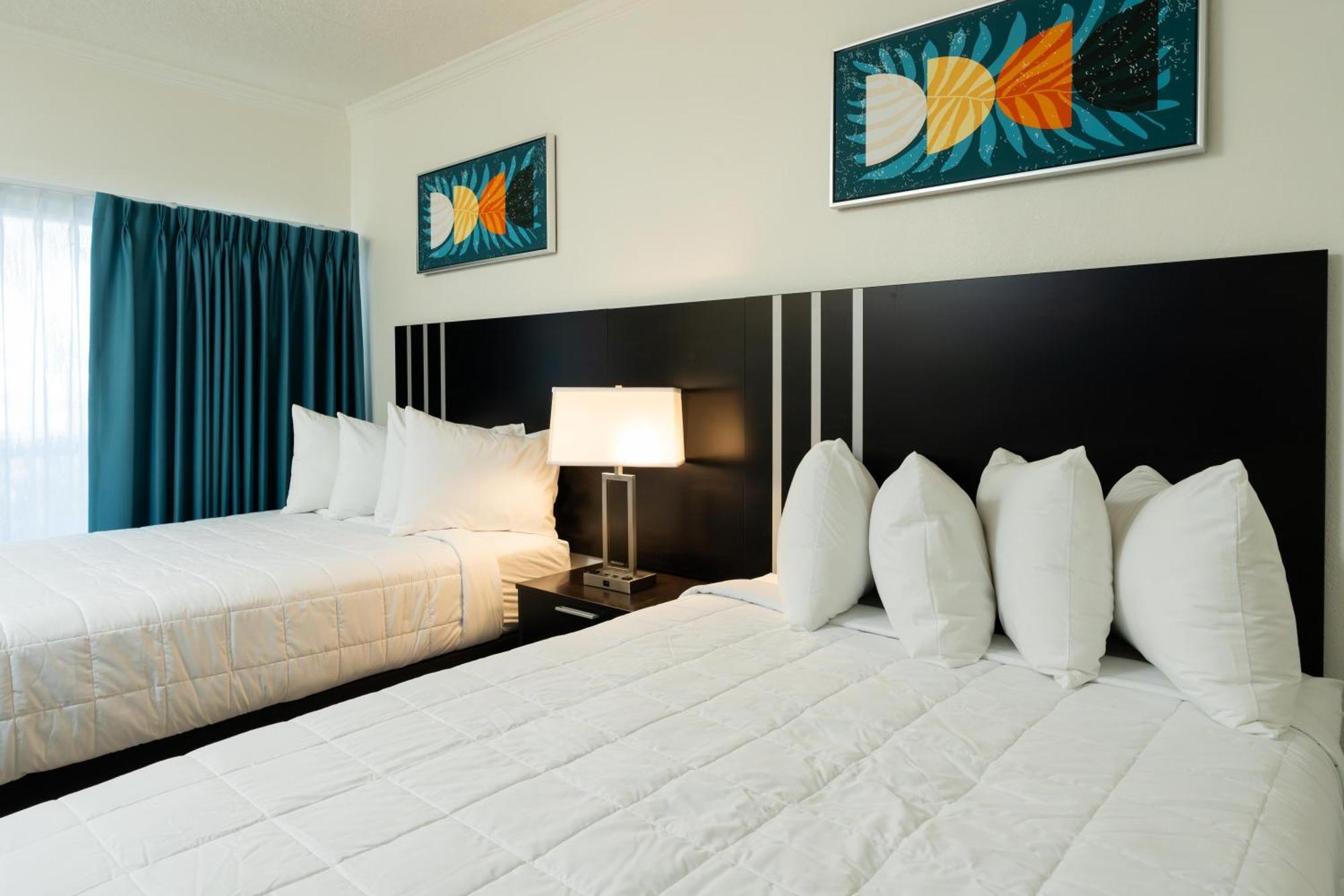Oasis Bay Suites, Tampa, Busch Gardens, Usf Dış mekan fotoğraf