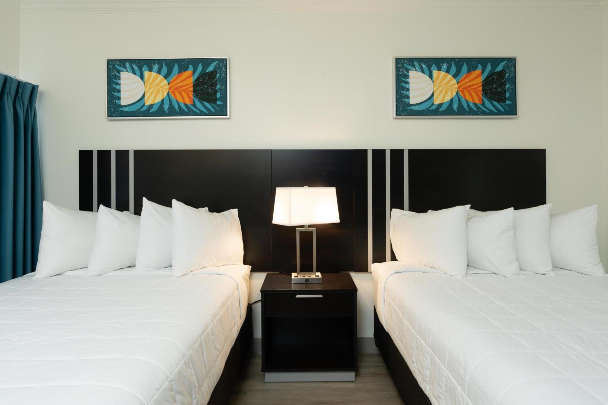 Oasis Bay Suites, Tampa, Busch Gardens, Usf Dış mekan fotoğraf