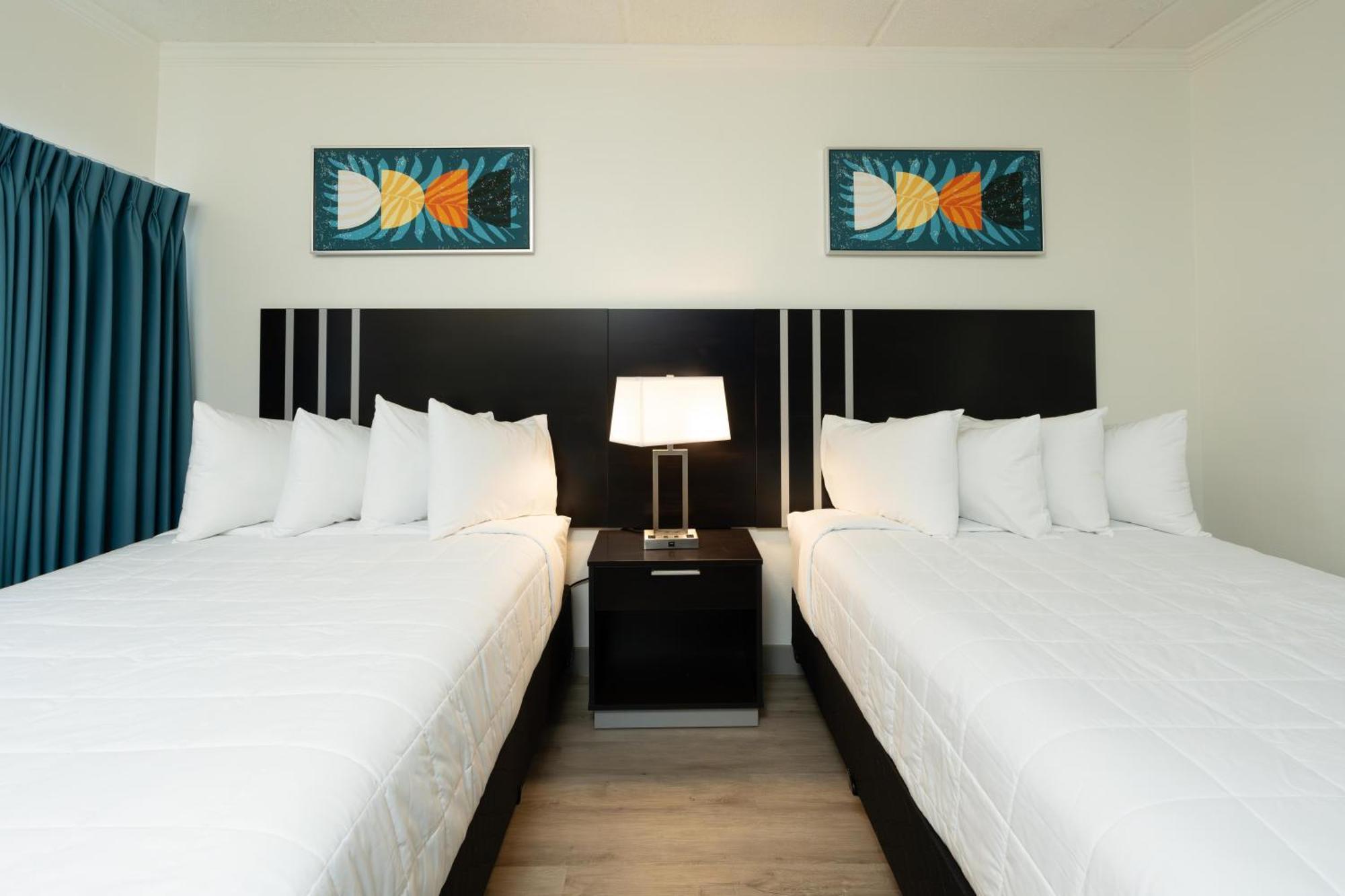 Oasis Bay Suites, Tampa, Busch Gardens, Usf Dış mekan fotoğraf