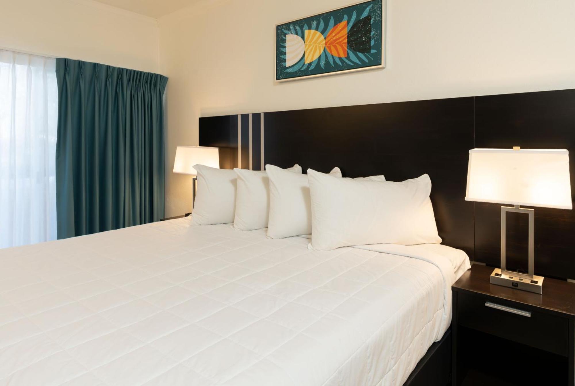 Oasis Bay Suites, Tampa, Busch Gardens, Usf Dış mekan fotoğraf